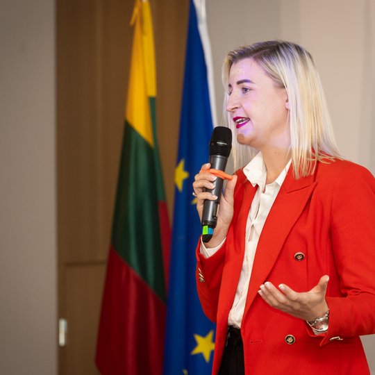 Iliustracija
