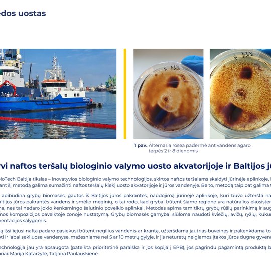 Iliustracija