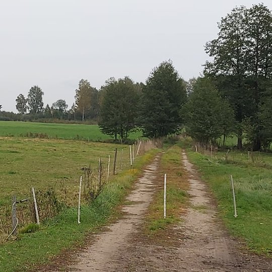 Iliustracija