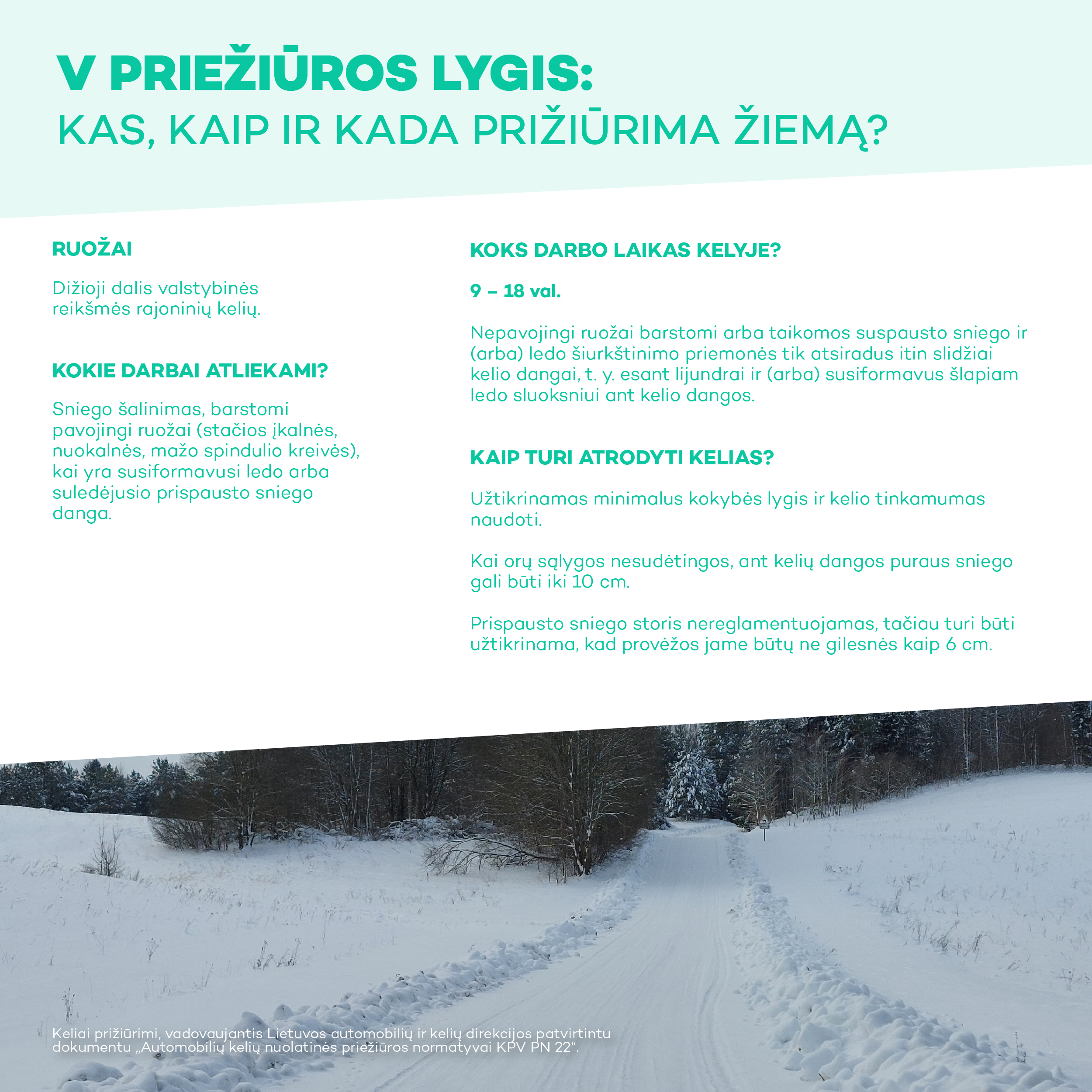 Žiemos atmintinė 5 priežiūros lygis.jpg